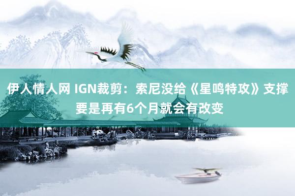 伊人情人网 IGN裁剪：索尼没给《星鸣特攻》支撑 要是再有6个月就会有改变