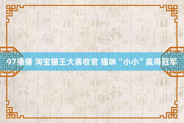 97播播 淘宝猫王大赛收官 猫咪“小小”赢得冠军