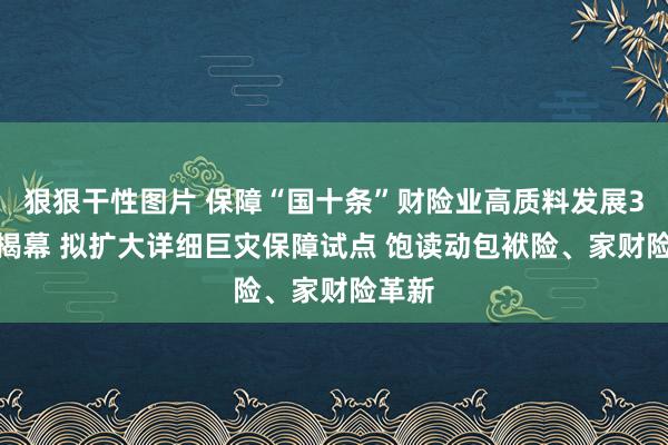 狠狠干性图片 保障“国十条”财险业高质料发展3.0版揭幕 拟扩大详细巨灾保障试点 饱读动包袱险、家财险革新