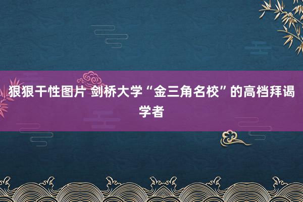 狠狠干性图片 剑桥大学“金三角名校”的高档拜谒学者