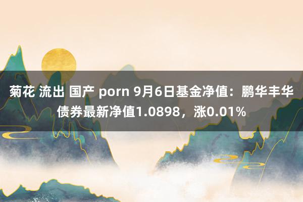 菊花 流出 国产 porn 9月6日基金净值：鹏华丰华债券最新净值1.0898，涨0.01%