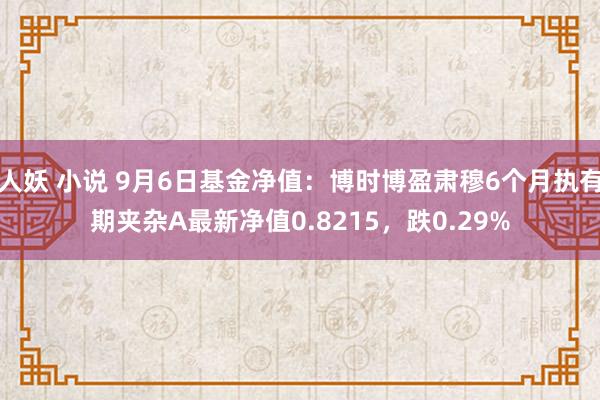 人妖 小说 9月6日基金净值：博时博盈肃穆6个月执有期夹杂A最新净值0.8215，跌0.29%