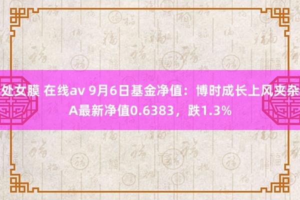 处女膜 在线av 9月6日基金净值：博时成长上风夹杂A最新净值0.6383，跌1.3%