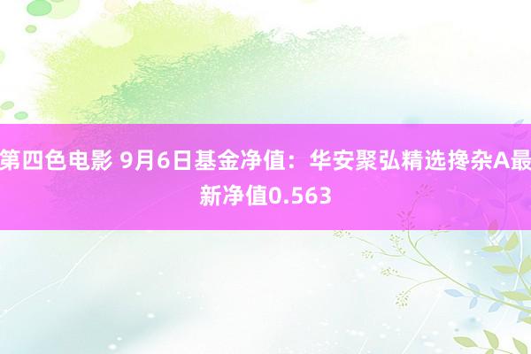 第四色电影 9月6日基金净值：华安聚弘精选搀杂A最新净值0.563