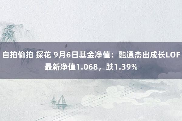 自拍偷拍 探花 9月6日基金净值：融通杰出成长LOF最新净值1.068，跌1.39%