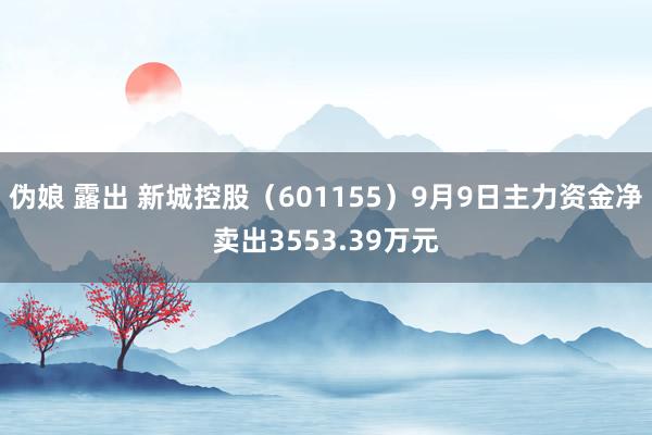 伪娘 露出 新城控股（601155）9月9日主力资金净卖出3553.39万元