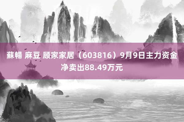 蘇暢 麻豆 顾家家居（603816）9月9日主力资金净卖出88.49万元