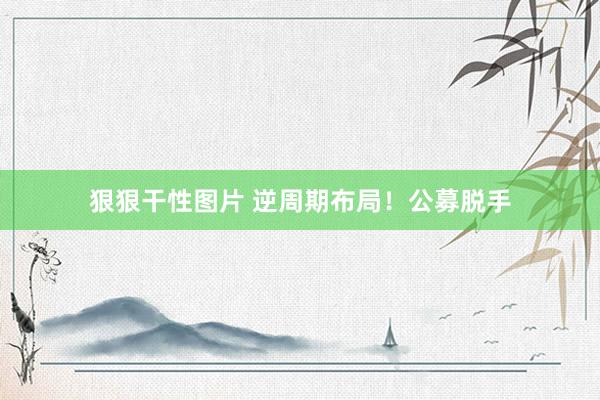 狠狠干性图片 逆周期布局！公募脱手