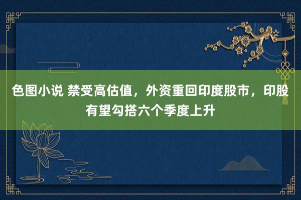 色图小说 禁受高估值，外资重回印度股市，印股有望勾搭六个季度上升