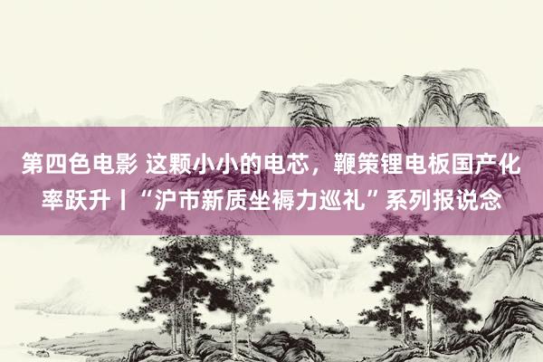 第四色电影 这颗小小的电芯，鞭策锂电板国产化率跃升丨“沪市新质坐褥力巡礼”系列报说念