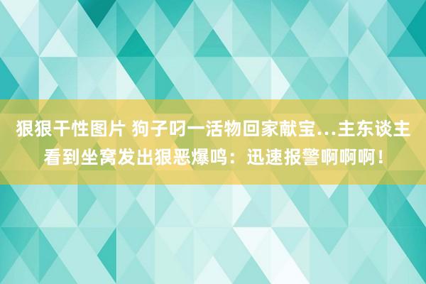 狠狠干性图片 狗子叼一活物回家献宝…主东谈主看到坐窝发出狠恶爆鸣：迅速报警啊啊啊！