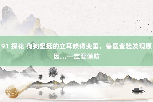 91 探花 狗狗坚挺的立耳倏得变垂，兽医查验发现原因...一定要谨防