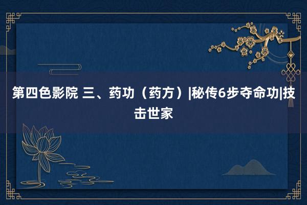 第四色影院 三、药功（药方）|秘传6步夺命功|技击世家