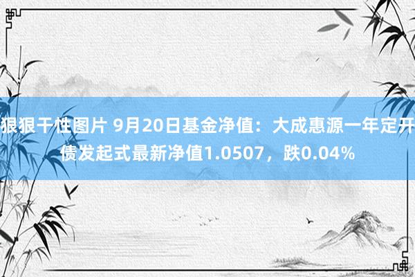 狠狠干性图片 9月20日基金净值：大成惠源一年定开债发起式最新净值1.0507，跌0.04%