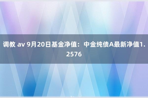 调教 av 9月20日基金净值：中金纯债A最新净值1.2576