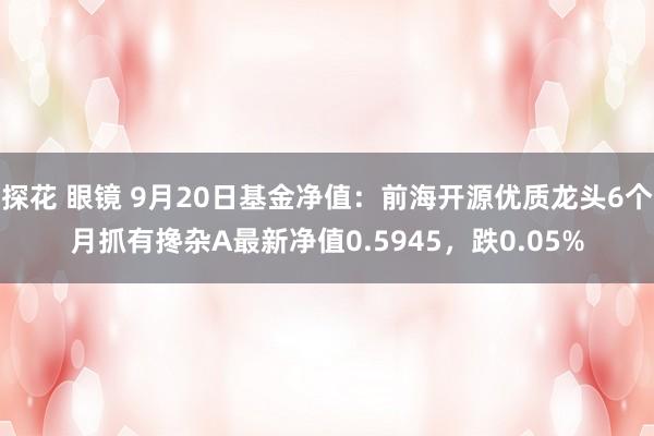 探花 眼镜 9月20日基金净值：前海开源优质龙头6个月抓有搀杂A最新净值0.5945，跌0.05%