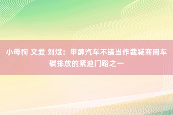 小母狗 文爱 刘斌：甲醇汽车不错当作裁减商用车碳排放的紧迫门路之一