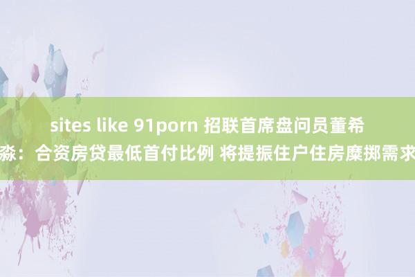 sites like 91porn 招联首席盘问员董希淼：合资房贷最低首付比例 将提振住户住房糜掷需求