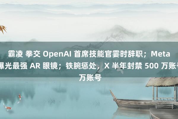 霸凌 拳交 OpenAI 首席技能官霎时辞职；Meta 曝光最强 AR 眼镜；铁腕惩处，X 半年封禁 500 万账号