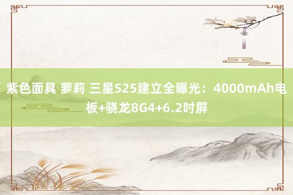 紫色面具 萝莉 三星S25建立全曝光：4000mAh电板+骁龙8G4+6.2吋屏