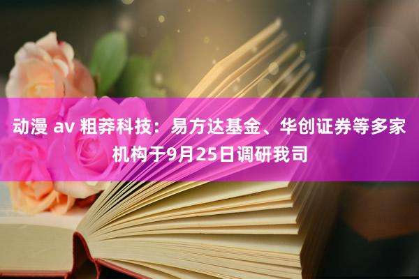 动漫 av 粗莽科技：易方达基金、华创证券等多家机构于9月25日调研我司