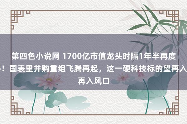 第四色小说网 1700亿市值龙头时隔1年半再度涨停！国表里并购重组飞腾再起，这一硬科技标的望再入风口