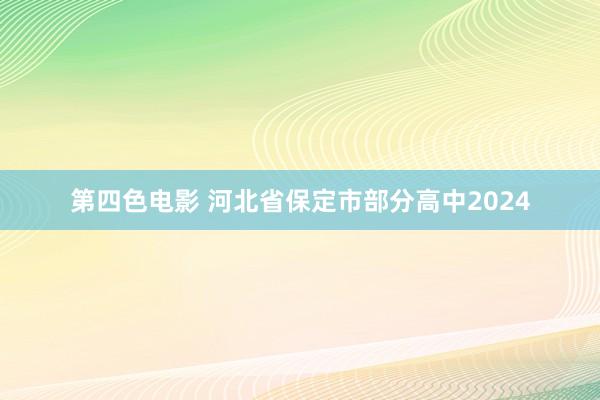 第四色电影 河北省保定市部分高中2024