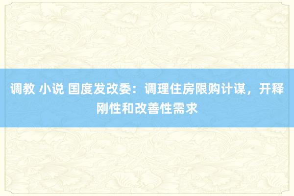 调教 小说 国度发改委：调理住房限购计谋，开释刚性和改善性需求