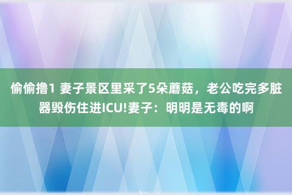 偷偷撸1 妻子景区里采了5朵蘑菇，老公吃完多脏器毁伤住进ICU!妻子：明明是无毒的啊