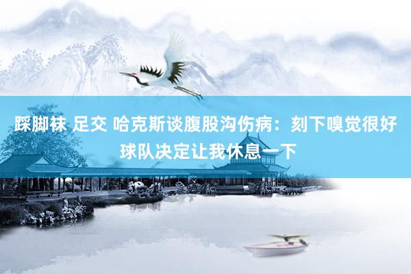 踩脚袜 足交 哈克斯谈腹股沟伤病：刻下嗅觉很好 球队决定让我休息一下