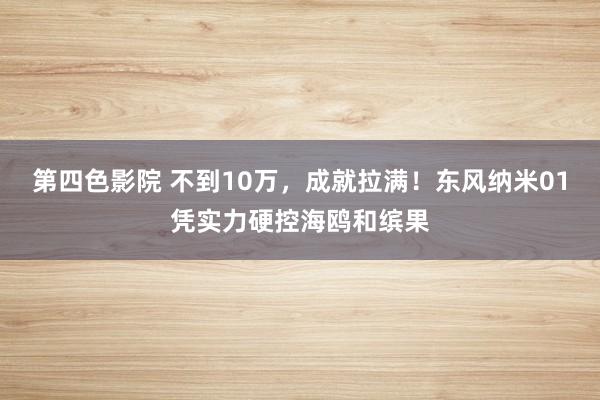 第四色影院 不到10万，成就拉满！东风纳米01凭实力硬控海鸥和缤果