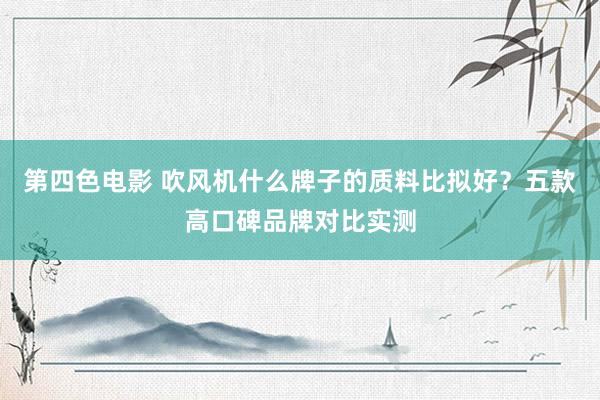 第四色电影 吹风机什么牌子的质料比拟好？五款高口碑品牌对比实测