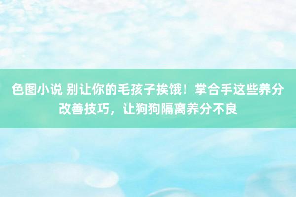 色图小说 别让你的毛孩子挨饿！掌合手这些养分改善技巧，让狗狗隔离养分不良