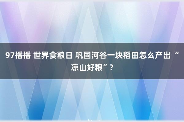 97播播 世界食粮日 巩固河谷一块稻田怎么产出 “凉山好粮”？