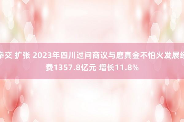 拳交 扩张 2023年四川过问商议与磨真金不怕火发展经费1357.8亿元 增长11.8%