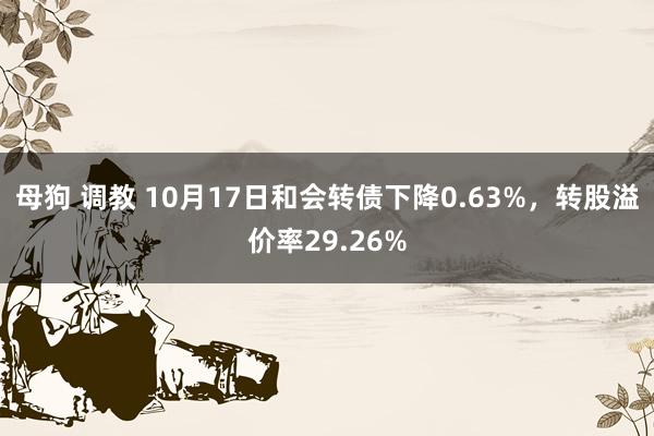 母狗 调教 10月17日和会转债下降0.63%，转股溢价率29.26%