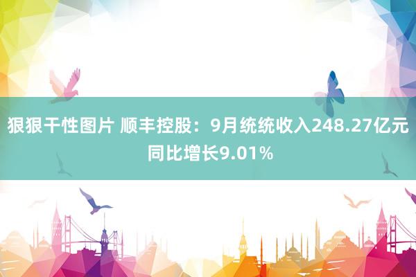 狠狠干性图片 顺丰控股：9月统统收入248.27亿元 同比增长9.01%