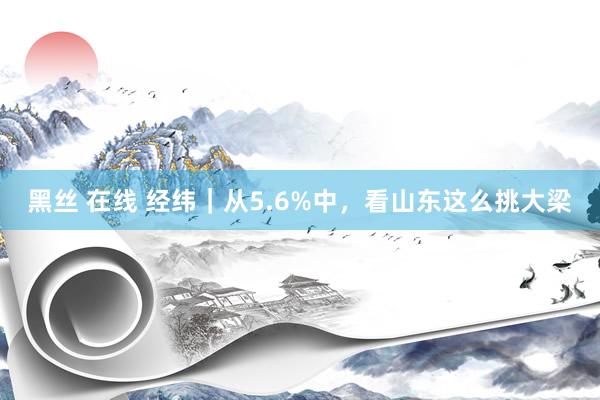 黑丝 在线 经纬｜从5.6%中，看山东这么挑大梁