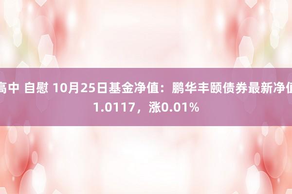 高中 自慰 10月25日基金净值：鹏华丰颐债券最新净值1.0117，涨0.01%