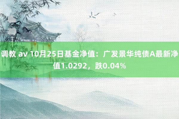 调教 av 10月25日基金净值：广发景华纯债A最新净值1.0292，跌0.04%