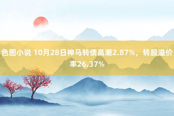 色图小说 10月28日神马转债高潮2.87%，转股溢价率26.37%