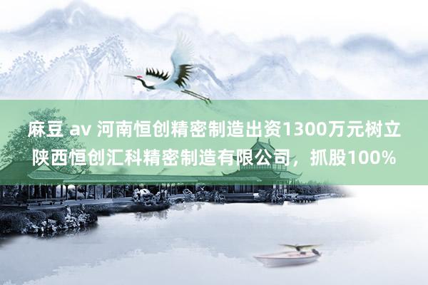 麻豆 av 河南恒创精密制造出资1300万元树立陕西恒创汇科精密制造有限公司，抓股100%