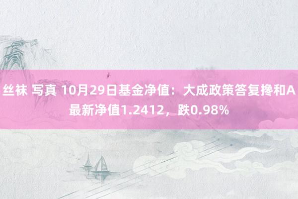 丝袜 写真 10月29日基金净值：大成政策答复搀和A最新净值1.2412，跌0.98%