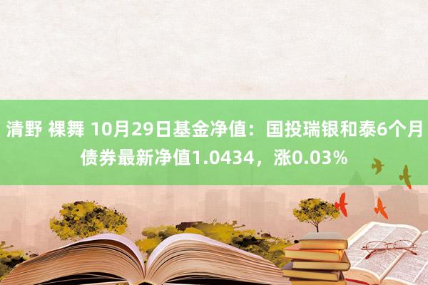 清野 裸舞 10月29日基金净值：国投瑞银和泰6个月债券最新净值1.0434，涨0.03%