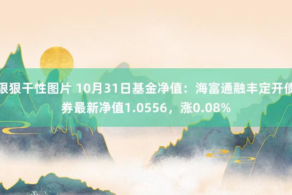 狠狠干性图片 10月31日基金净值：海富通融丰定开债券最新净值1.0556，涨0.08%