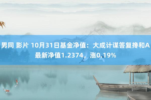 男同 影片 10月31日基金净值：大成计谋答复搀和A最新净值1.2374，涨0.19%