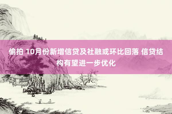 偷拍 10月份新增信贷及社融或环比回落 信贷结构有望进一步优化