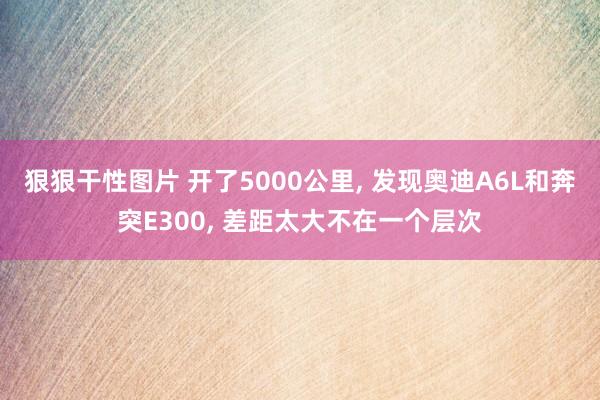 狠狠干性图片 开了5000公里， 发现奥迪A6L和奔突E300， 差距太大不在一个层次