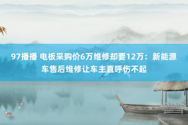 97播播 电板采购价6万维修却要12万：新能源车售后维修让车主直呼伤不起