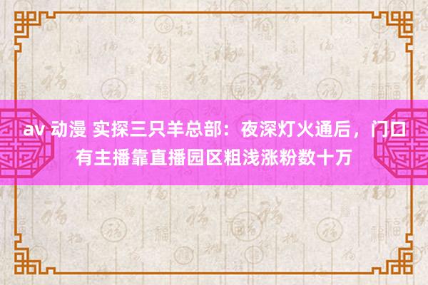 av 动漫 实探三只羊总部：夜深灯火通后，门口有主播靠直播园区粗浅涨粉数十万